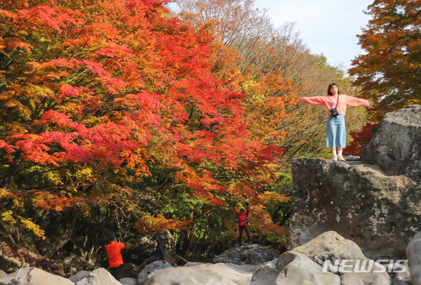 맑은 날씨를 보인 27일 오후 제주 한라산 천아계곡을 찾은 관광객들이 붉게 물든 단풍을 감상하며 깊어가는 가을 계절을 만끽하고 있다.